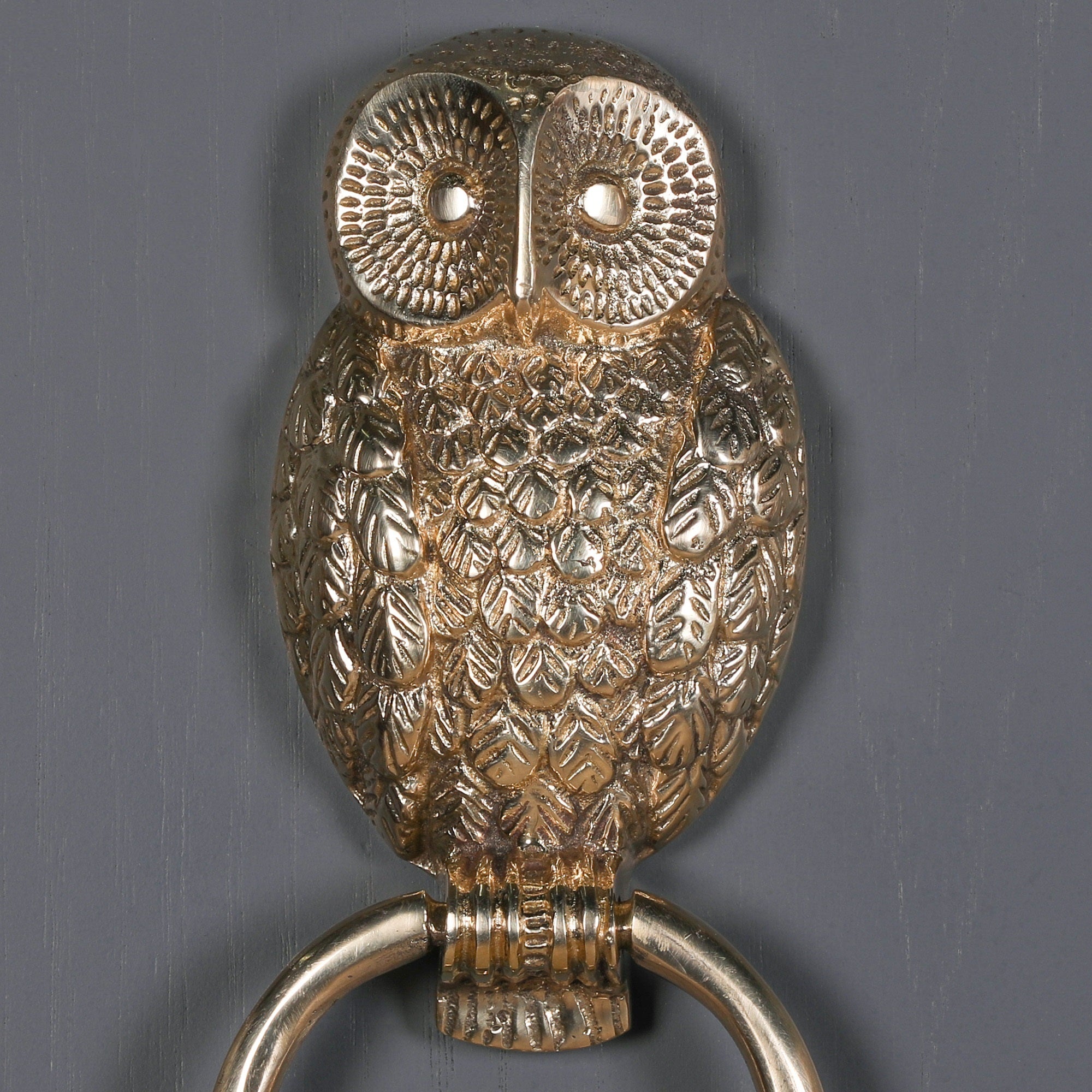 Brass Owl Door Knocker for Front Door Grand Entrance