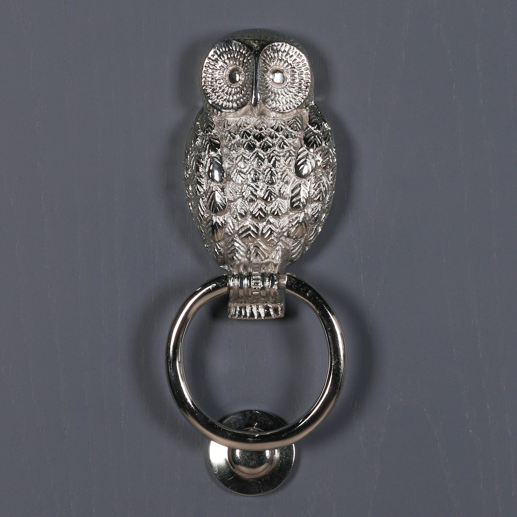 Chrome Owl Door Knocker for Front Door Grand Entrance