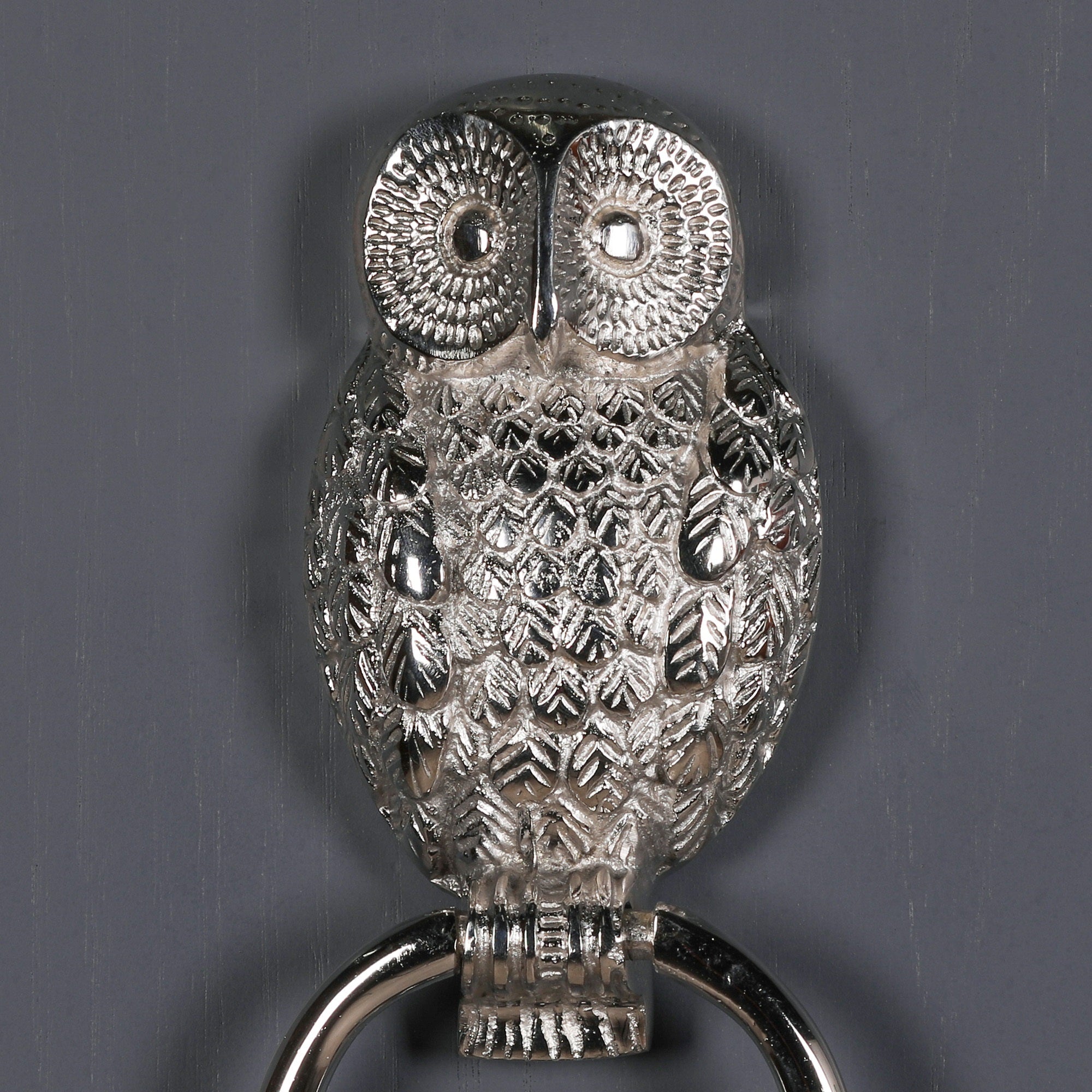 Chrome Owl Door Knocker for Front Door Grand Entrance