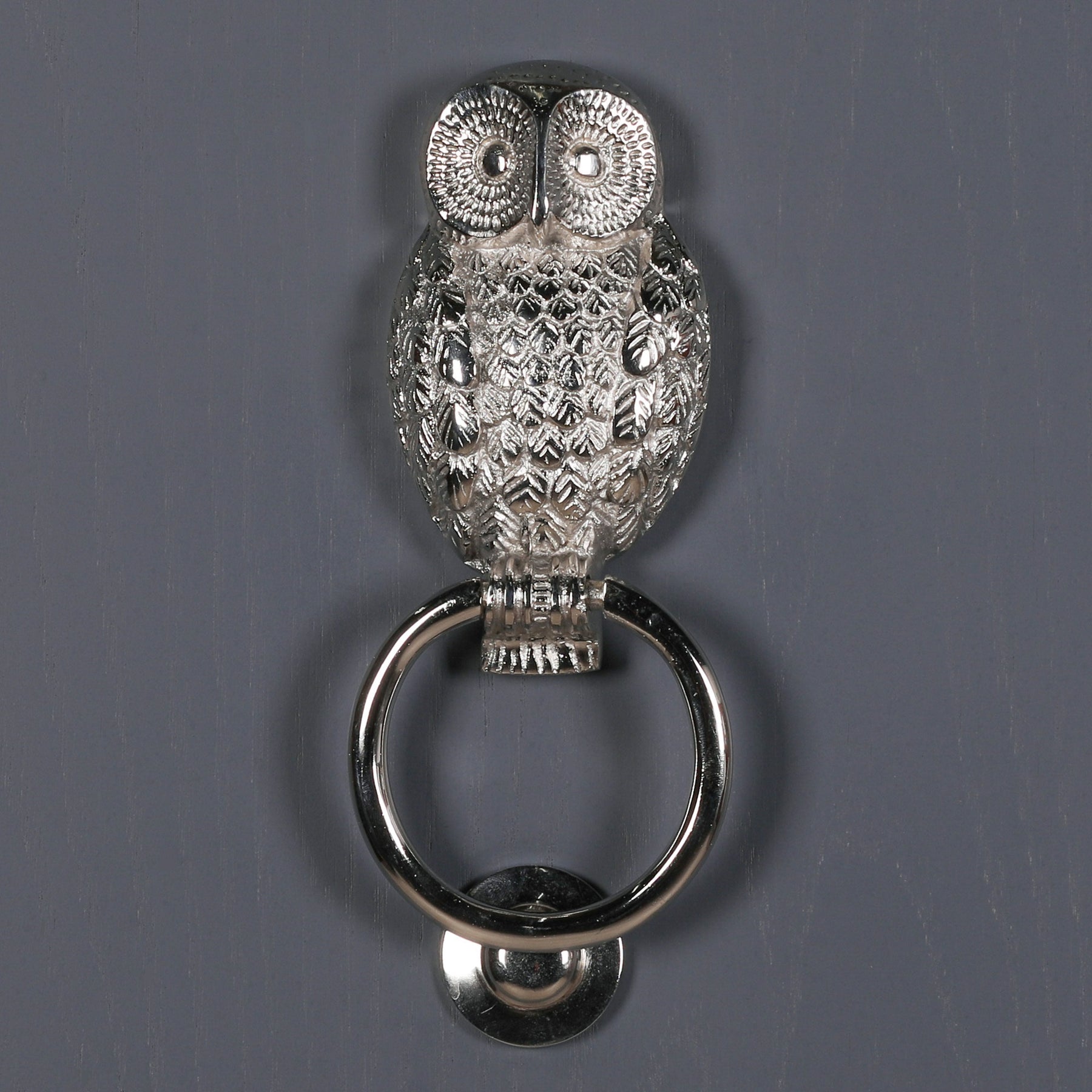 Chrome Owl Door Knocker for Front Door Grand Entrance